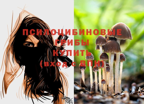 каннабис Алзамай